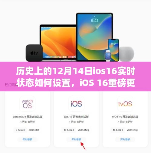 iOS 16重磅更新揭秘，12月14日實(shí)時(shí)狀態(tài)革新，科技重塑生活體驗(yàn)