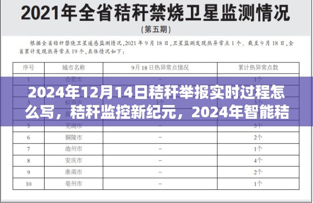 智能秸稈監(jiān)控新紀(jì)元，實(shí)時(shí)舉報(bào)體驗(yàn)之旅（2024年秸稈監(jiān)控發(fā)展）