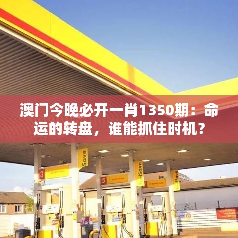 澳門今晚必開一肖1350期：命運的轉(zhuǎn)盤，誰能抓住時機？