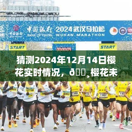 量入為出 第4頁