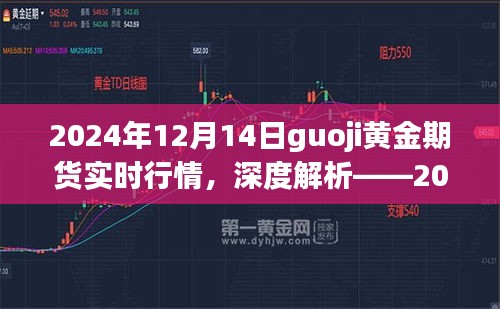 深度解析，2024年12月14日國(guó)際黃金期貨實(shí)時(shí)行情全面體驗(yàn)與評(píng)測(cè)
