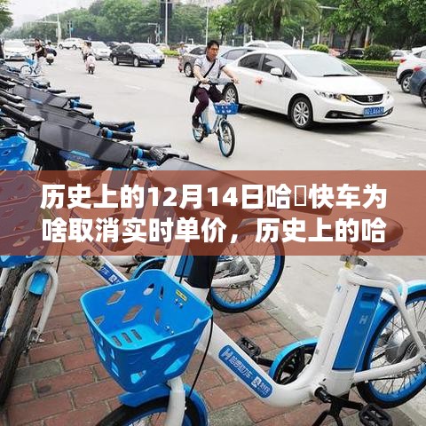 歷史上的哈啰快車(chē)取消實(shí)時(shí)單價(jià)背后的原因解析，為何在十二月十四日做出這一決策？