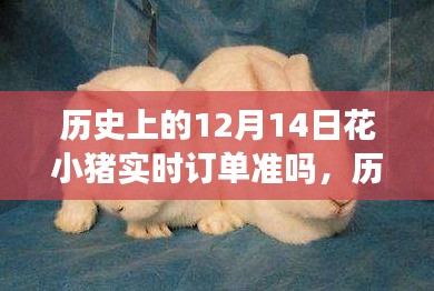 歷史上的12月14日花小豬實(shí)時(shí)訂單準(zhǔn)確性探討