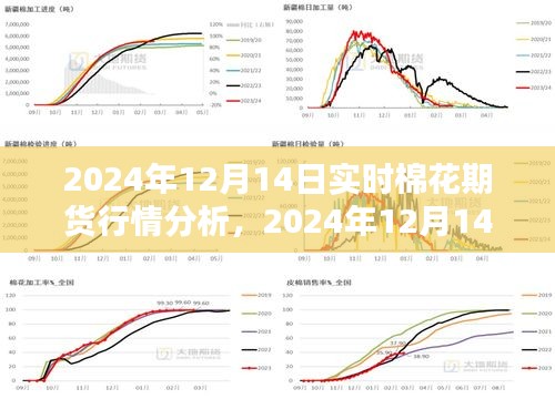 2024年12月14日棉花期貨行情深度解析與實時動態(tài)分析
