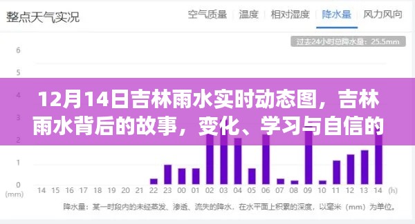 吉林雨水背后的故事，變化、學習與自信的力量——實時動態(tài)圖解析