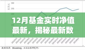 揭秘最新數(shù)據(jù)，深度解讀12月基金實(shí)時凈值變化報(bào)告