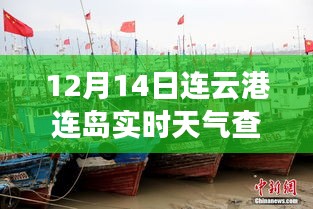 12月14日連云港連島天氣與探索自然美景之旅