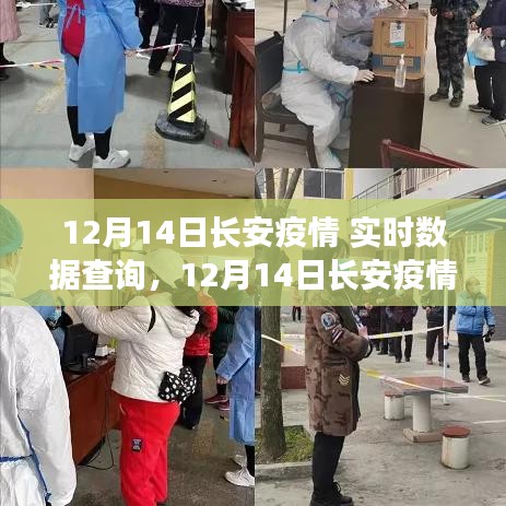 長安疫情實時數(shù)據(jù)查詢，最新動態(tài)與防控進展報告（12月14日）