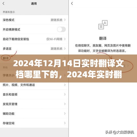 2024年實時翻譯文檔下載盛景，背景、事件與影響
