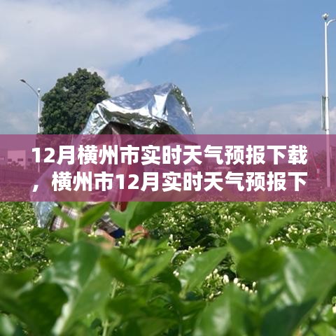 橫州市十二月實(shí)時(shí)天氣預(yù)報(bào)下載，重要性、影響分析及獲取途徑