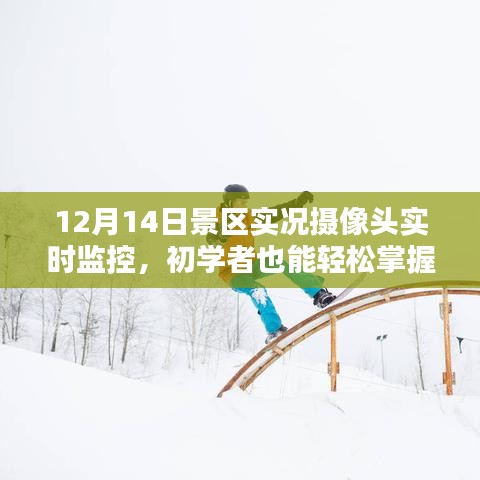 12月14日景區(qū)實(shí)時(shí)監(jiān)控?cái)z像頭使用指南，初學(xué)者也能輕松掌握