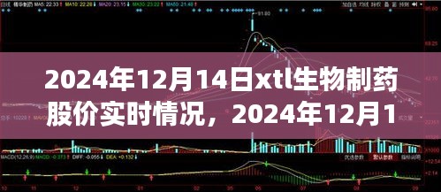 2024年12月14日XTL生物制藥股價(jià)實(shí)時(shí)報(bào)告，市場走勢深度解析與股價(jià)動(dòng)態(tài)概覽