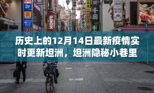坦洲隱秘小巷的獨(dú)特風(fēng)味，十二月十四日疫情實(shí)時(shí)更新與故事揭秘