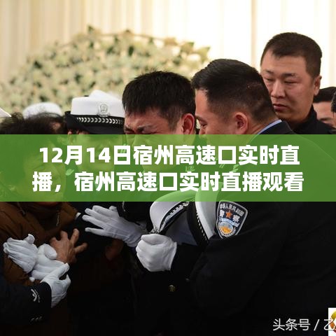 宿州高速口實(shí)時(shí)直播觀看指南，12月14日直播攻略與觀看技巧