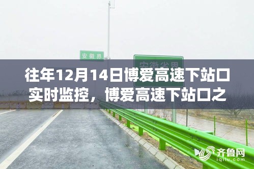 飛蝗蕪湖 第3頁