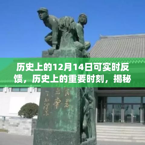 揭秘十二月十四日的獨(dú)特印記，歷史上的重要時(shí)刻實(shí)時(shí)反饋