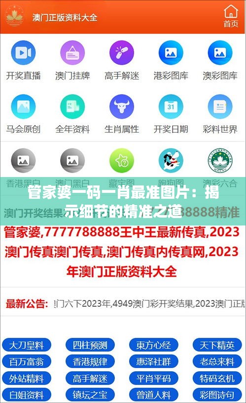 管家婆一碼一肖最準圖片：揭示細節(jié)的精準之道