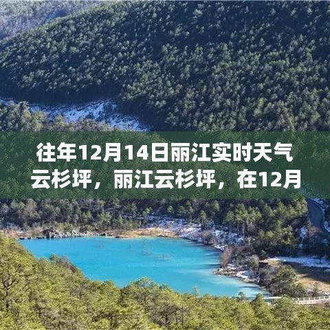 麗江云杉坪，尋找內(nèi)心的寧靜與自然魔法的秘密之旅（往年12月14日實時天氣）