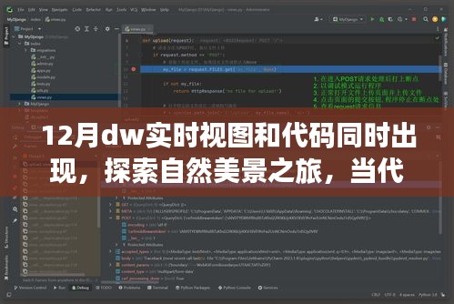 十二月奇妙時(shí)刻，代碼與自然美景的交融之旅