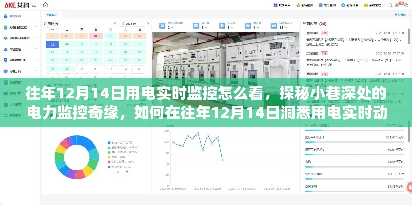 探秘往年12月14日用電實(shí)時(shí)監(jiān)控，小巷深處的電力動(dòng)態(tài)洞悉之旅