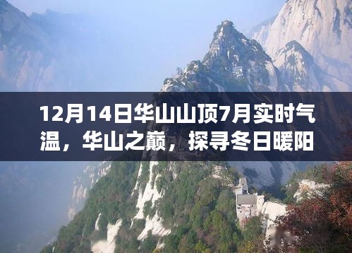 華山冬日暖陽美食探尋，山頂隱秘美食天堂與特色小店揭秘