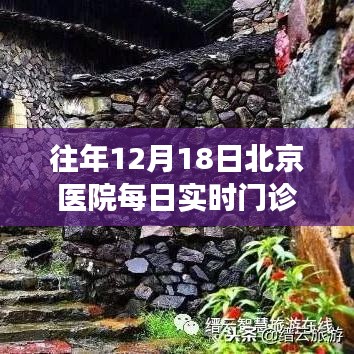 探秘北京醫(yī)院12月18日門(mén)診量的背后故事，小巷深處的醫(yī)療秘境揭秘