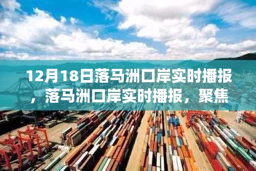 落馬洲口岸最新實(shí)時(shí)播報(bào)，跨境交通與區(qū)域發(fā)展深度解析