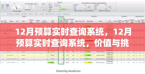 全方位解讀，12月預(yù)算實(shí)時(shí)查詢系統(tǒng)的價(jià)值與面臨的挑戰(zhàn)