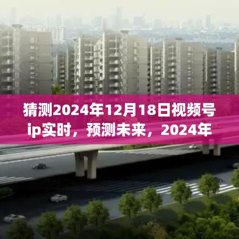 深度解讀，預(yù)測(cè)未來(lái)視頻號(hào)IP實(shí)時(shí)體驗(yàn)，2024年12月18日視頻號(hào)IP趨勢(shì)展望