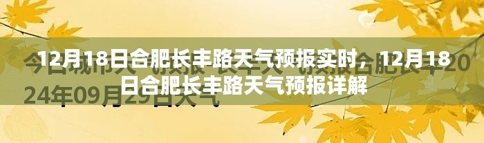 12月18日合肥長(zhǎng)豐路天氣預(yù)報(bào)詳解及實(shí)時(shí)更新通知