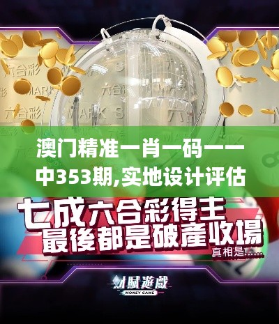 澳門精準(zhǔn)一肖一碼一一中353期,實(shí)地設(shè)計(jì)評(píng)估數(shù)據(jù)_理財(cái)版8.213