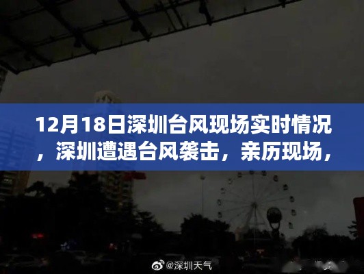 深圳臺(tái)風(fēng)襲擊現(xiàn)場(chǎng)實(shí)錄，風(fēng)云巨變見(jiàn)證者