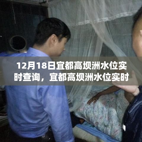 宜都高壩洲水位實時查詢系統(tǒng)，全面解讀與深度分析，掌握最新水位動態(tài)（12月18日）