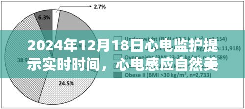 心電感應(yīng)之旅，尋找內(nèi)心平靜的奇妙歷程
