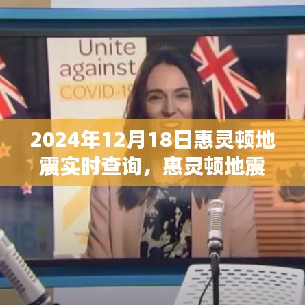 惠靈頓地震中的溫情與冒險，一場突如其來的友情之旅（實時查詢）