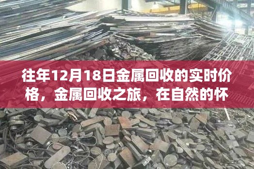金屬回收實時價格，在自然的懷抱中探尋內(nèi)心的寧靜與喜悅之旅
