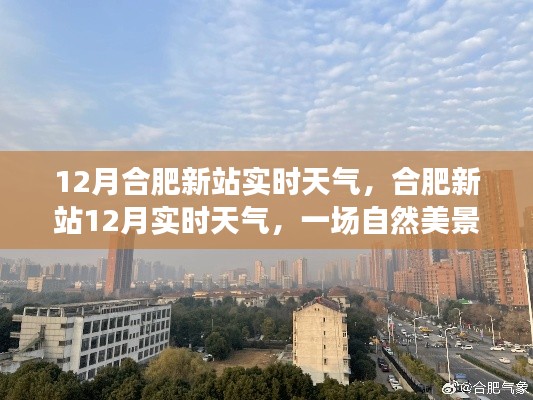 合肥新站12月實(shí)時(shí)天氣探索之旅，自然美景與內(nèi)心寧靜的尋覓
