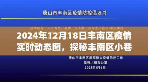 豐南區(qū)疫情實(shí)時動態(tài)圖下的獨(dú)特風(fēng)味與特色小店之旅
