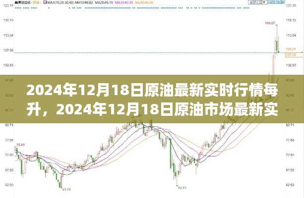 2024年12月18日原油實(shí)時(shí)行情解析，洞悉每升價(jià)格動態(tài)與市場趨勢
