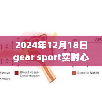 沒張倒置 第3頁
