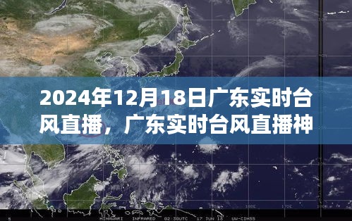 廣東臺風直播，科技前沿追蹤體驗