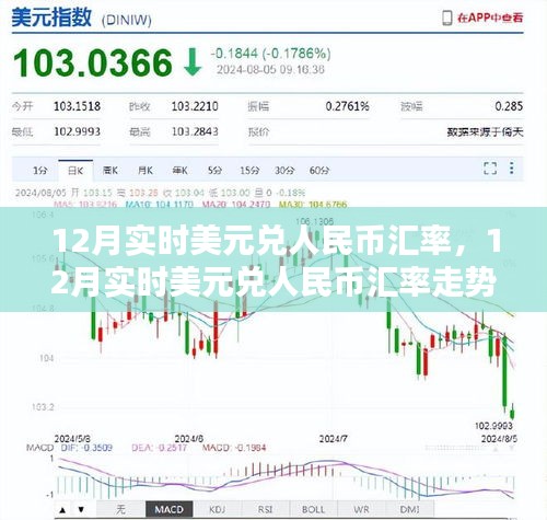 12月美元兌人民幣匯率走勢及分析