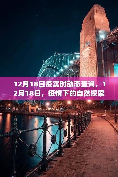 12月18日疫情下的自然探索之旅，尋找內(nèi)心的寧靜與遠(yuǎn)方美景的實(shí)時(shí)動(dòng)態(tài)