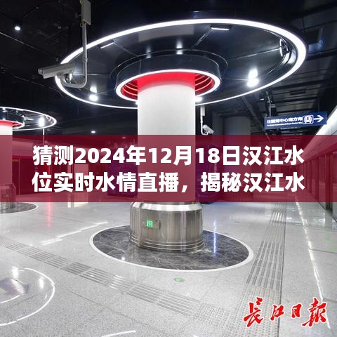 揭秘漢江水位直播背后的神秘小巷特色小店，實時水情直播預(yù)測漢江水位變化（時間，2024年12月18日）