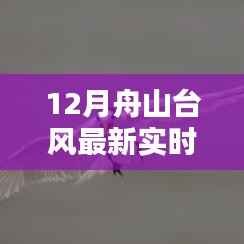 科技賦能生活，舟山臺(tái)風(fēng)最新實(shí)時(shí)智能監(jiān)測(cè)系統(tǒng)全新升級(jí)報(bào)告