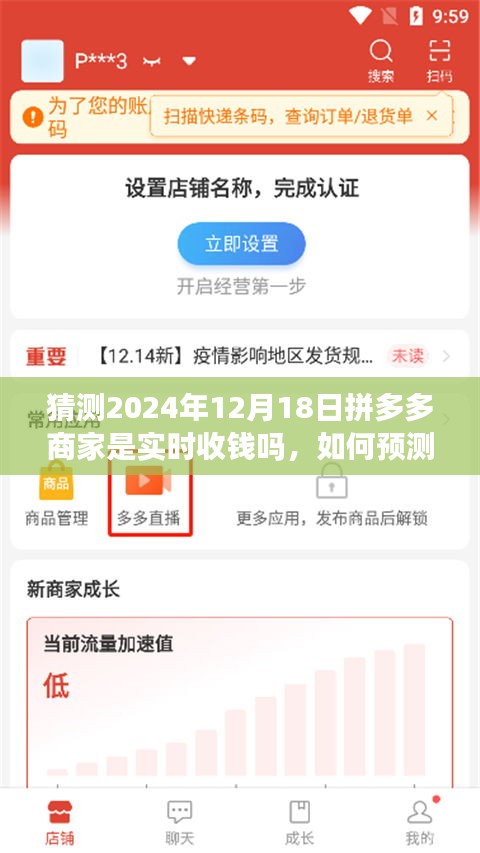 如何預(yù)測(cè)并了解拼多多商家實(shí)時(shí)收款狀態(tài)（以2024年12月18日為例，實(shí)時(shí)收款功能解析）