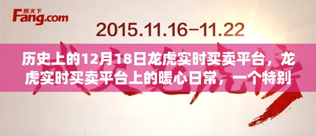 龍虎實(shí)時買賣平臺，暖心日常的特別12月18日記憶