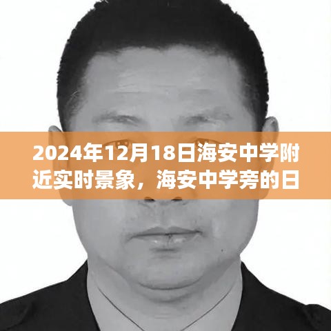 海安中學(xué)附近日常暖陽，溫馨時(shí)光記錄于2024年12月18日