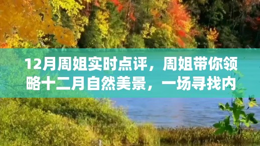周姐帶你領(lǐng)略十二月自然美景，尋找內(nèi)心平靜的奇妙旅行實時點評