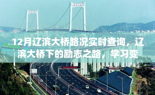 遼濱大橋下的勵志之路，實時路況查詢與學習成就之旅